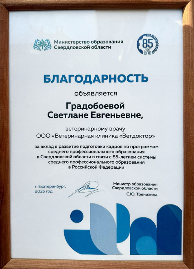 f314a099b00dca065d140ca65c7fa3d0.jpg